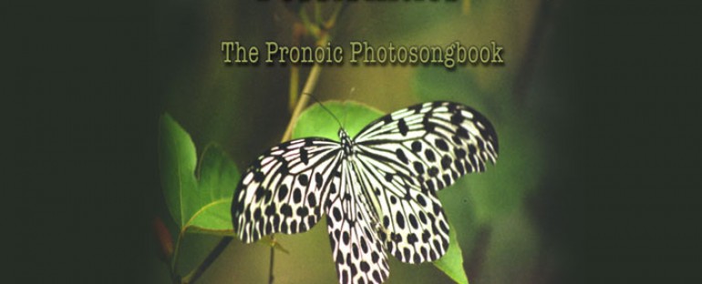 BOOK REVIEW: Possibilities—The Pronoic Photosongbook by Mel Borins ~ Reviewed by Maria Grande, MD