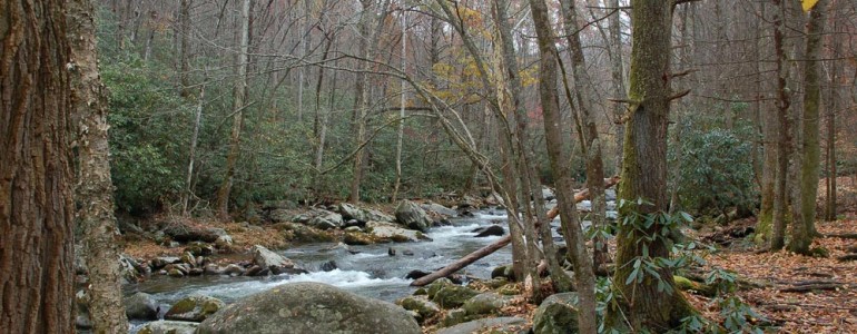 Fighting Creek Trail