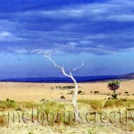 "DEAD TREE AT SUNSET" Masai Mara