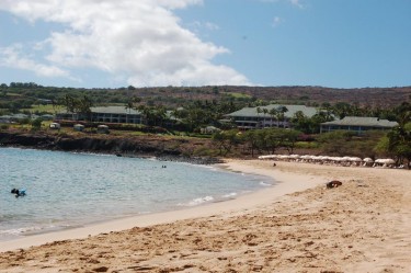 Hulopo'e Bay Beach