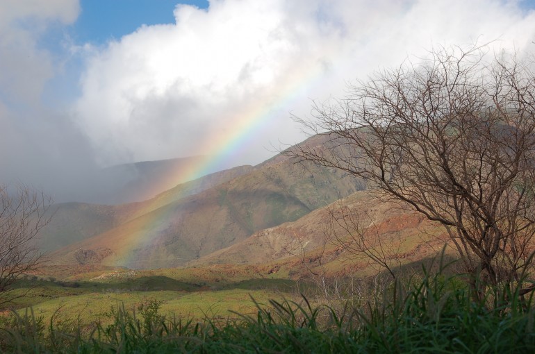 Hawaii Rainbow