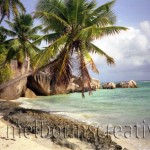 "LIFE'S A BEACH" Seychelles
